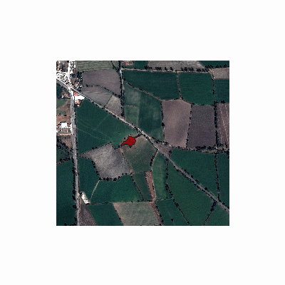 Export Image